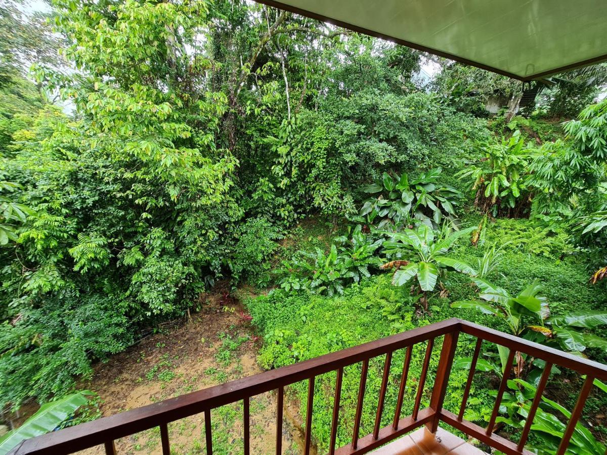 Ceiba Lodge Drake Bay Luaran gambar