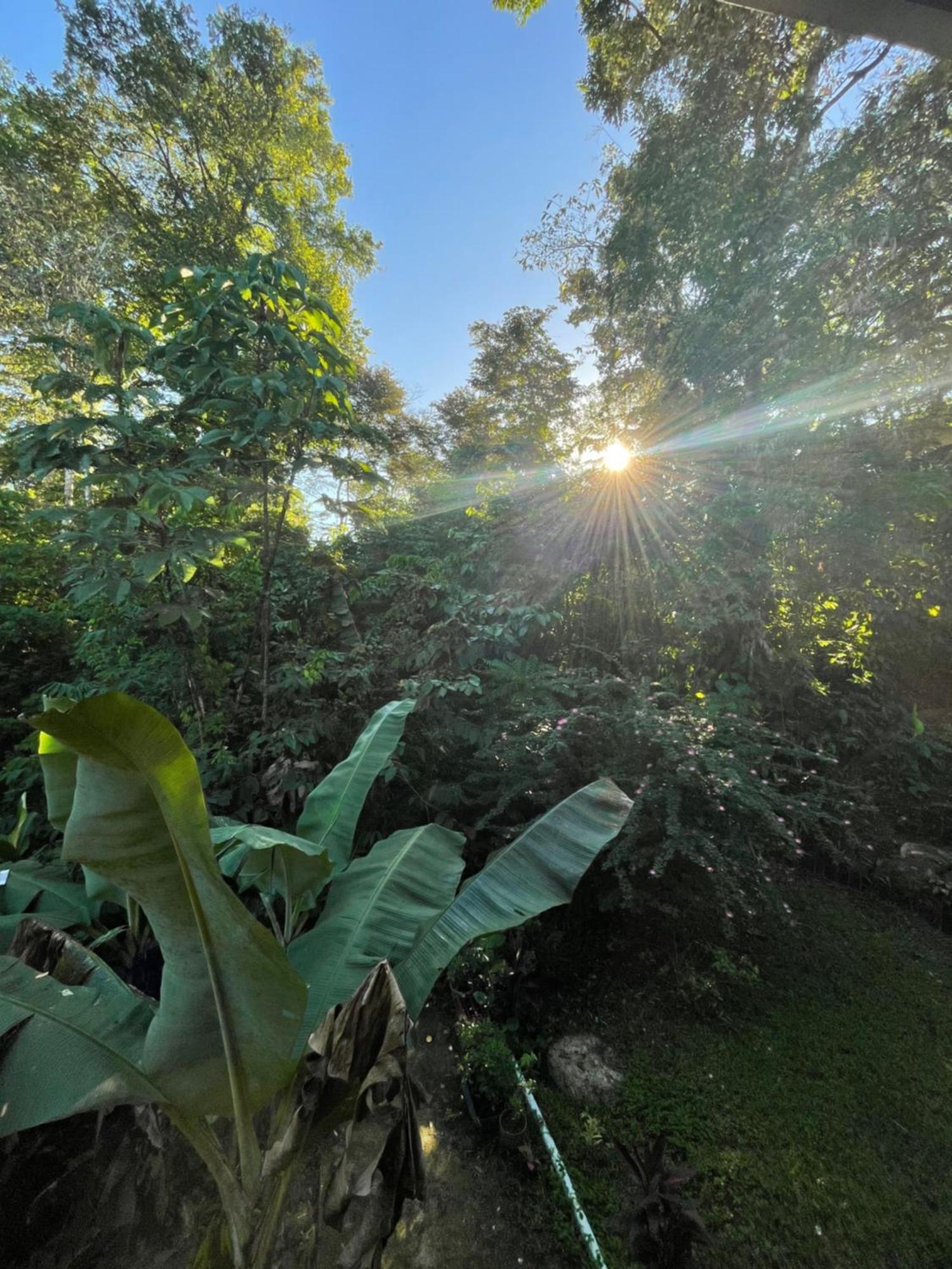 Ceiba Lodge Drake Bay Luaran gambar