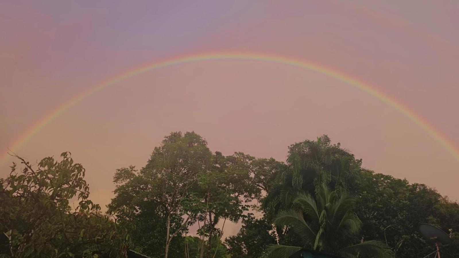 Ceiba Lodge Drake Bay Luaran gambar